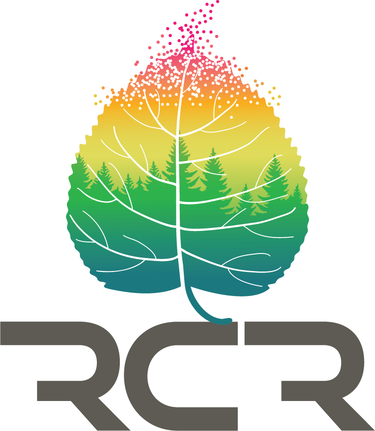 RedCastle Inc. Logo